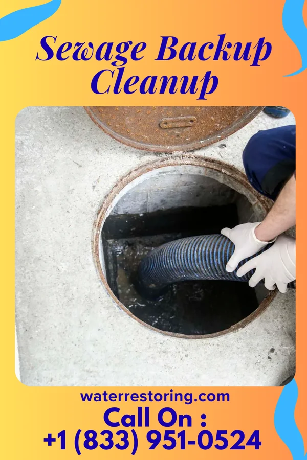 Sewage Backup Cleanup in Webb City, MO